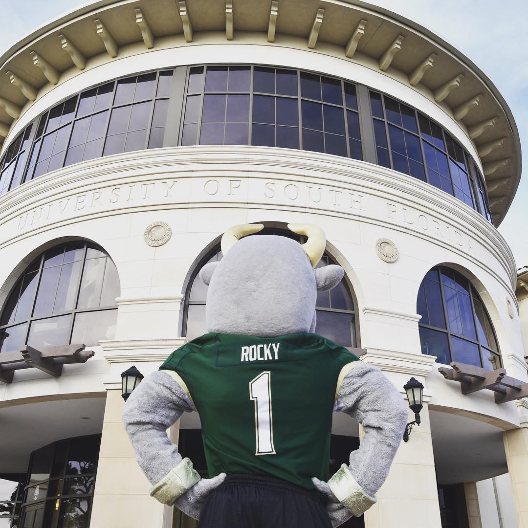 Rear view of bull mascot looks at campus building Photo by Instagram user @usfsm