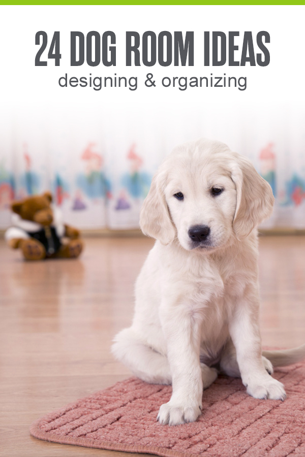 24 Ideas For Designing Anizing A Dog Room Extra Space Storage - Dog Home Decor Items
