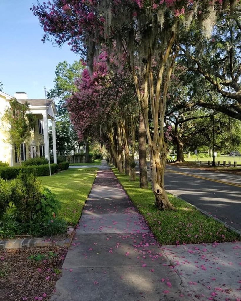 5 Best Neighborhoods in Savannah for Families Extra Space Storage