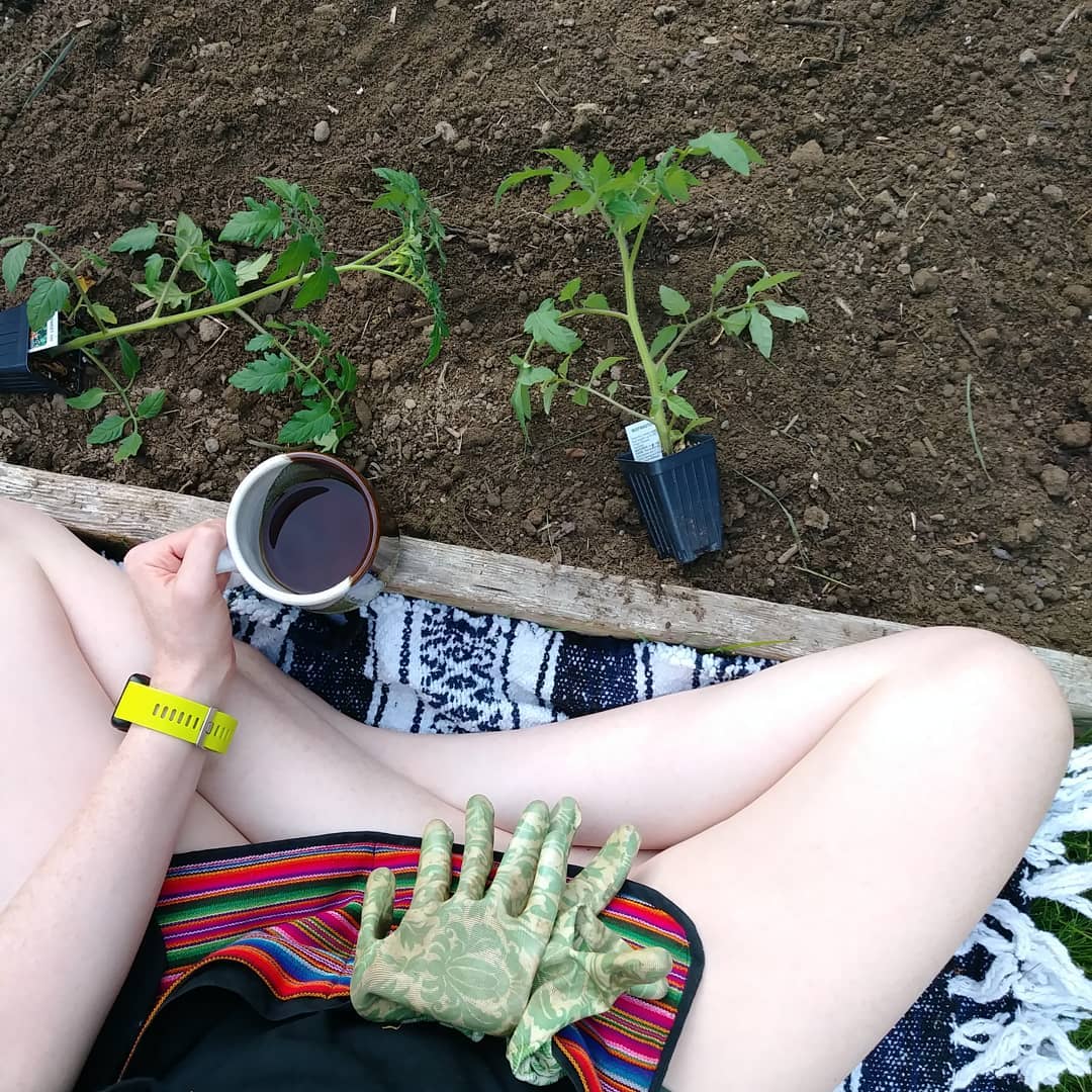 Minimalist gardening. Photo by Instagram user @sweetloveginger