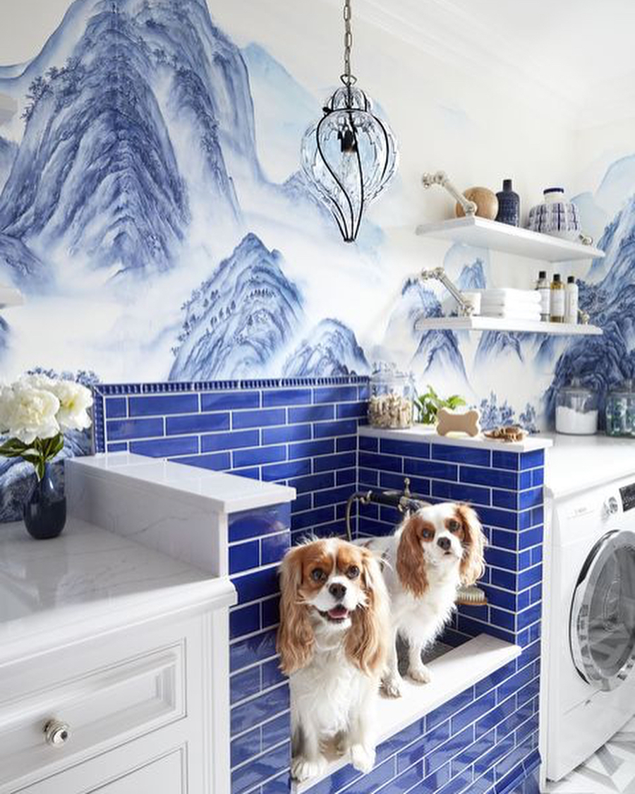 Home Dog Grooming Station in Laundry Room. Photo by Instagram user @wostbrockhome