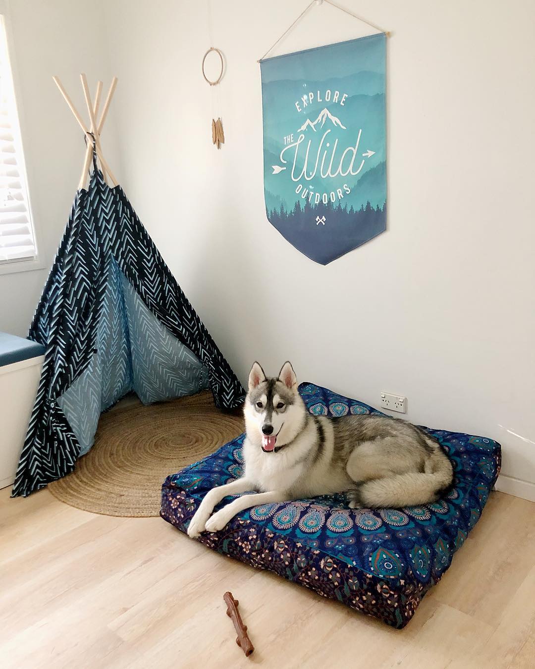Dog Relaxing in Room with Tent and Bed. Photo by Instagram user @_life_of_nirvana_