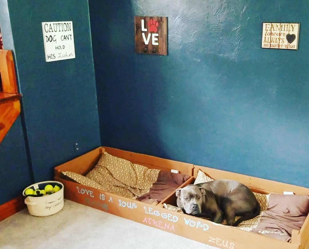 Dog Laying on Pad in Garage. Photo by Instagram user @rustictreasure