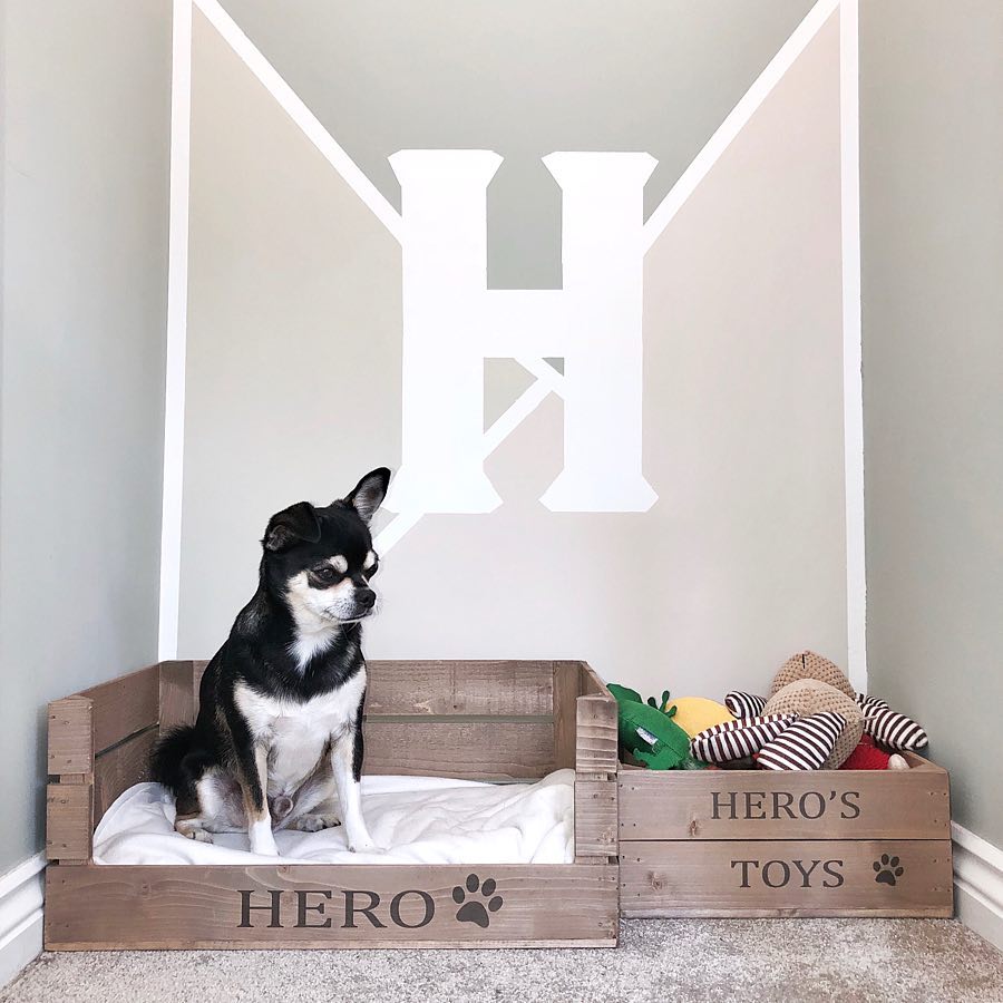 Box Designated for Dog Toys. Photo by Instagram user @corbycraigresidence