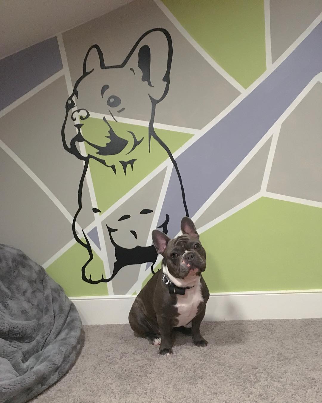 Wall Painted with the Likeness of French Bulldog. Photo by Instagram user @frencholive01