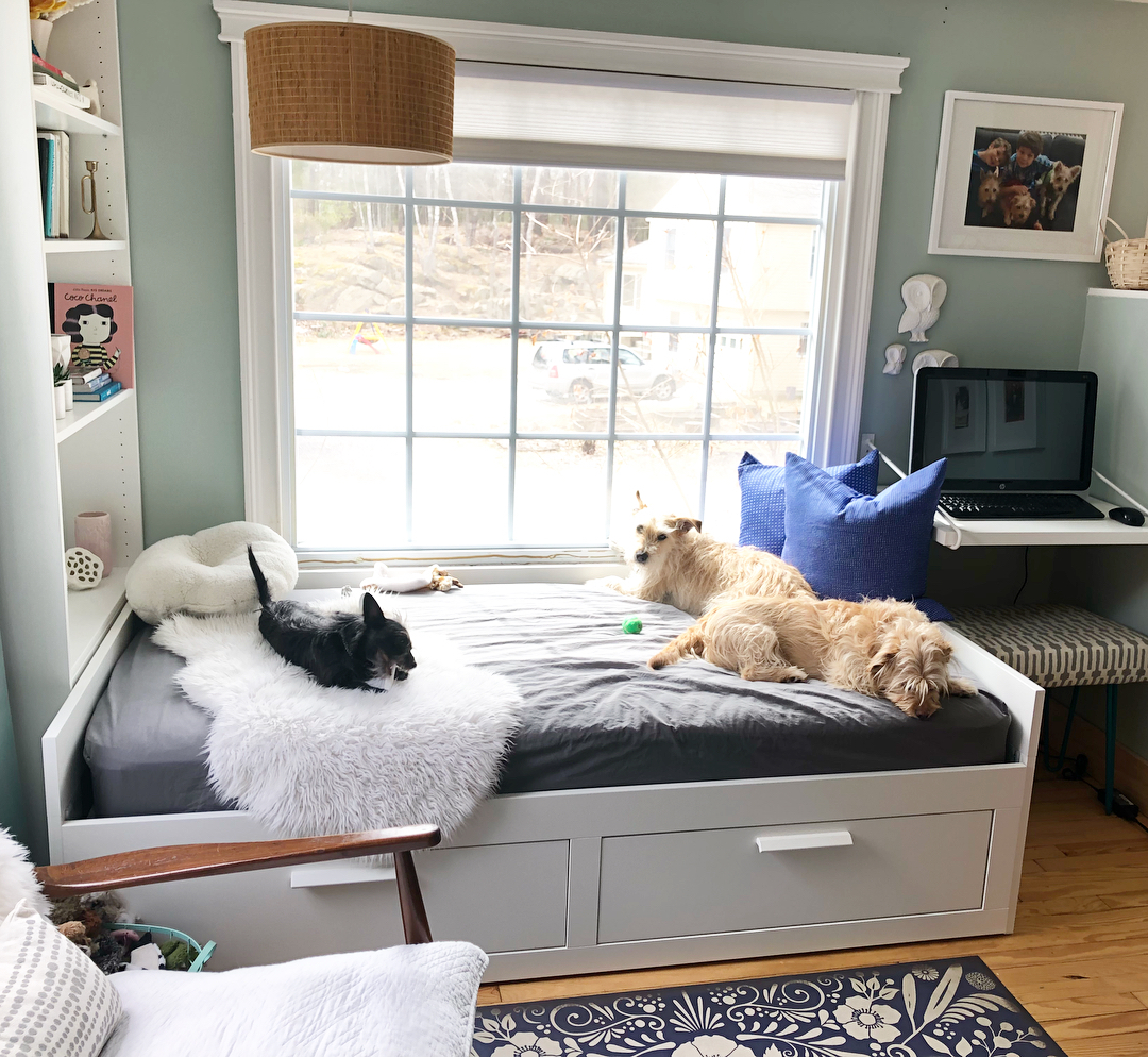 Dogs Laying on Bed in Home Office. Photo by Instagram user @chantalkyoung