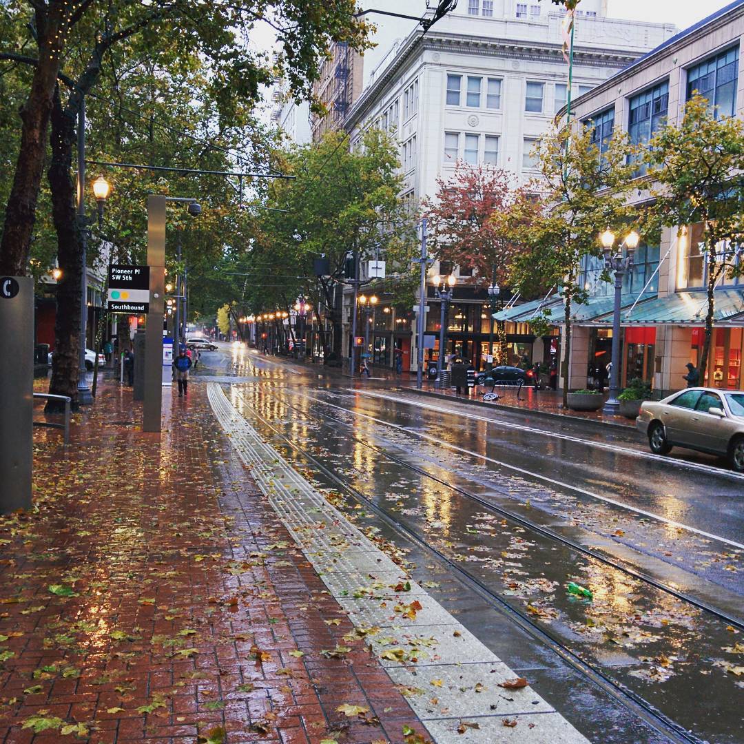 Downtown Portland street after rain with leaves on the ground Photo by Instagram user @justlivinglife123