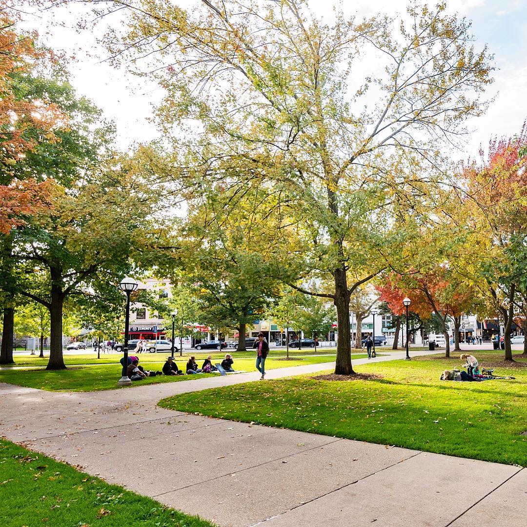 Ann Arbor park with people walking photo by Instagram user @statestdistrict