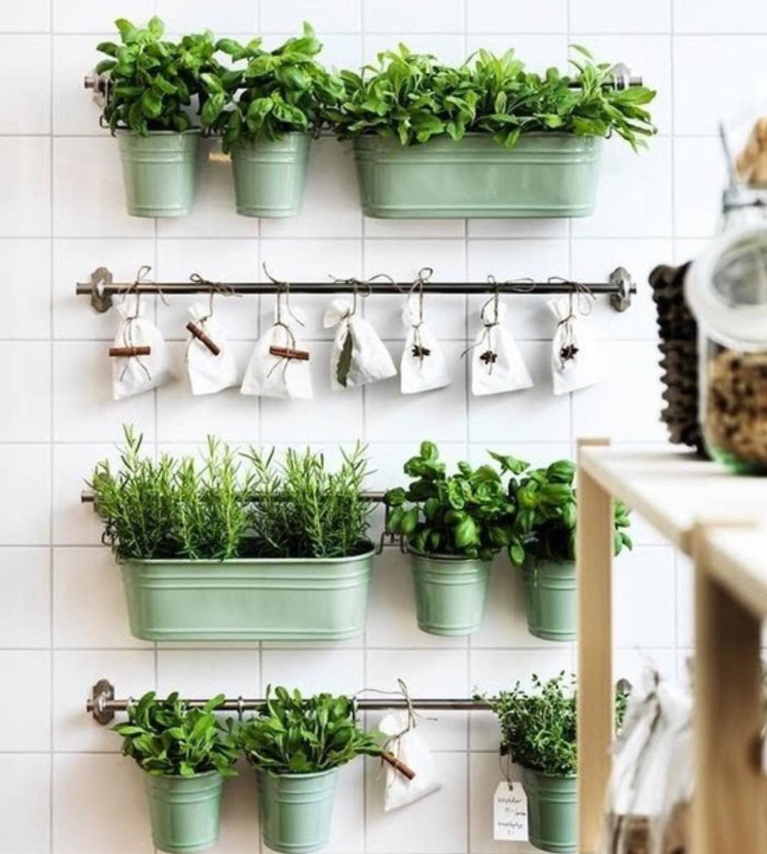 Herb garden on wall in kitchen. Photo by Instagram @say_no_to_waste_nz