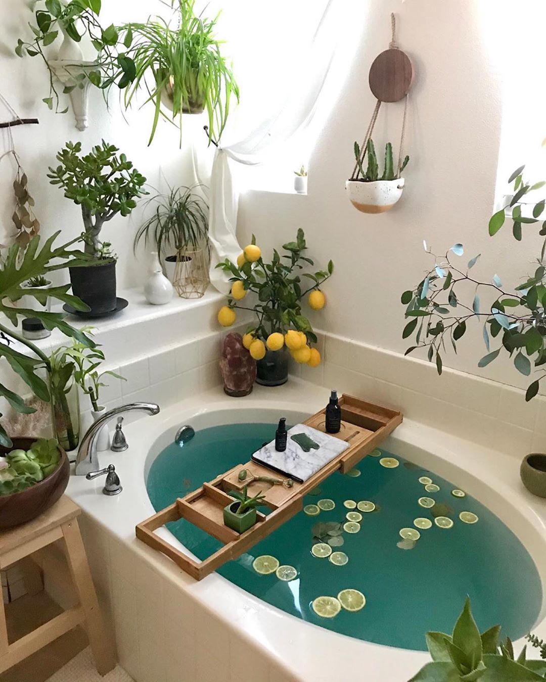 Bathtub surrounded by plants. Photo by Instagram user @biodara