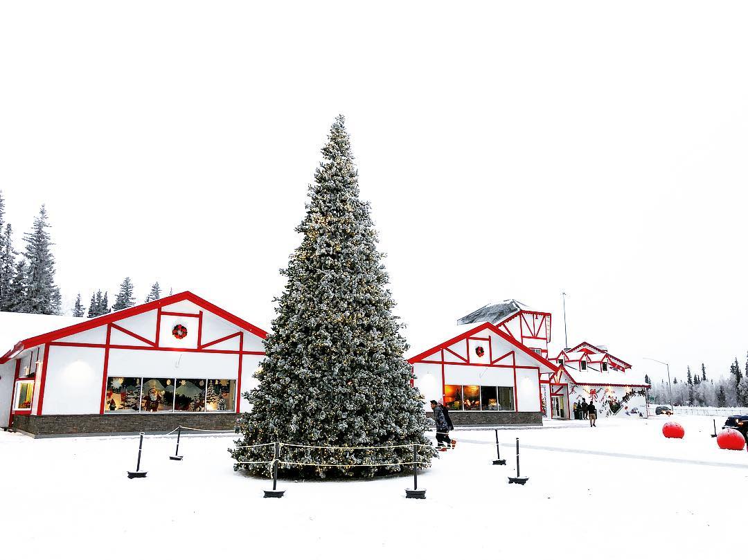 Giant Christmas tree by white and red building. Photo by Instagram user @joycew2ng