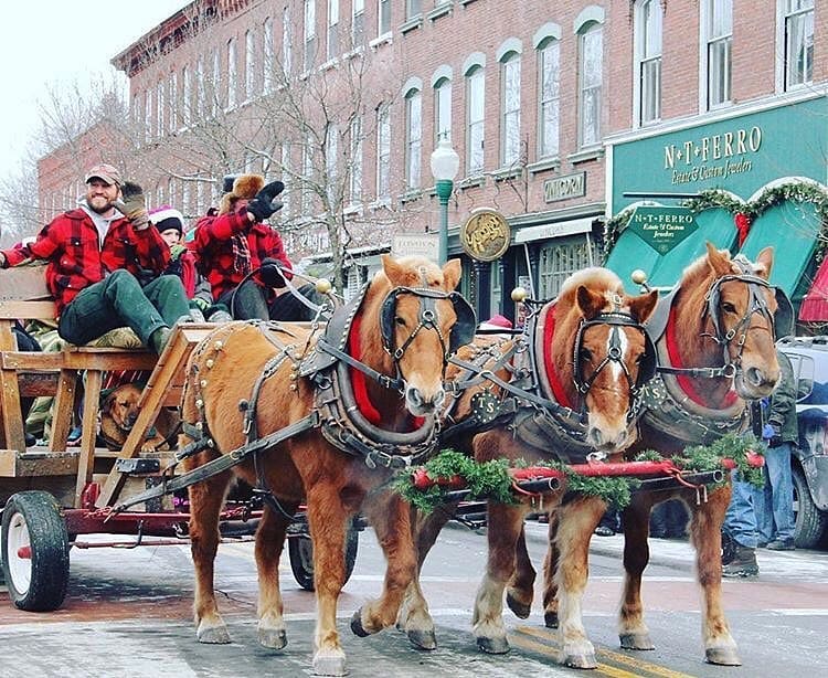 Family sitting on carriage pulled by brown horses. Photo by Instagram user @woodstock.inn