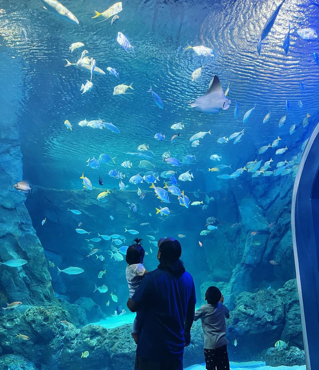 A family looking at the fish in the St. Louis Aquarium at Union Station. Photo by Instagram user @brianne_slover12