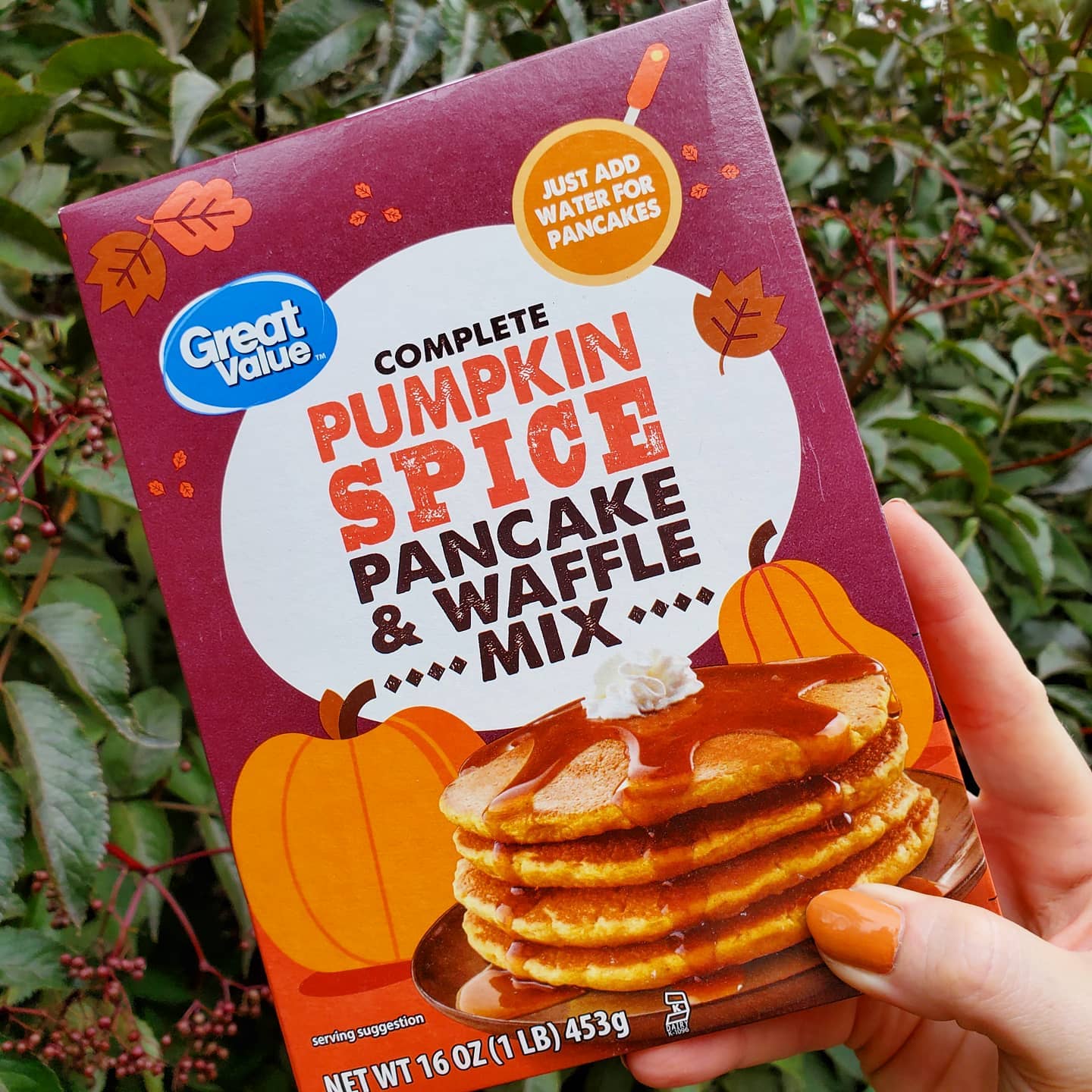 Somebody holding a box of Great Value Pumpkin Spice Pancake and Waffle Mix. Photo by instagram user @junkfoodjunction