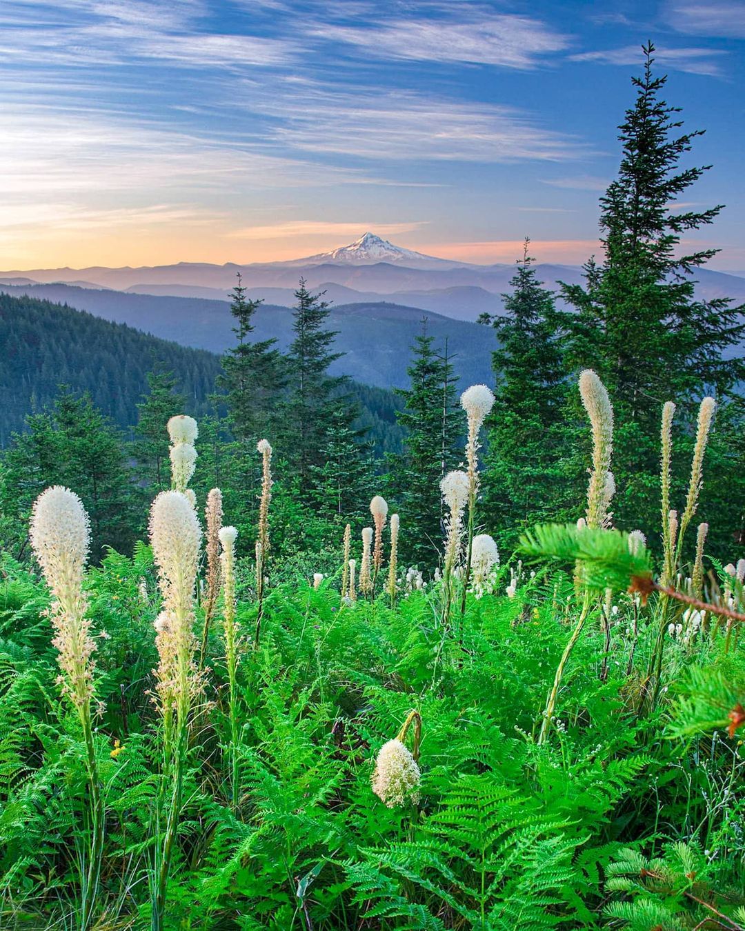 View of the mountains in Vancouver. Photo by Instagram user @paulinthewilderness.