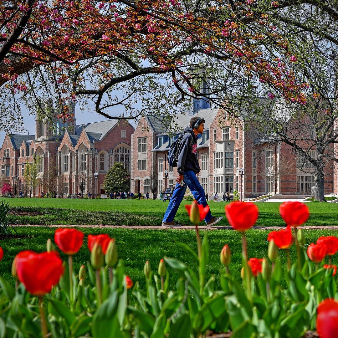 A young man walks down a sidewalk on campus in a sweatshirt and jeans. Photo by Instagram user @wustl_officialg