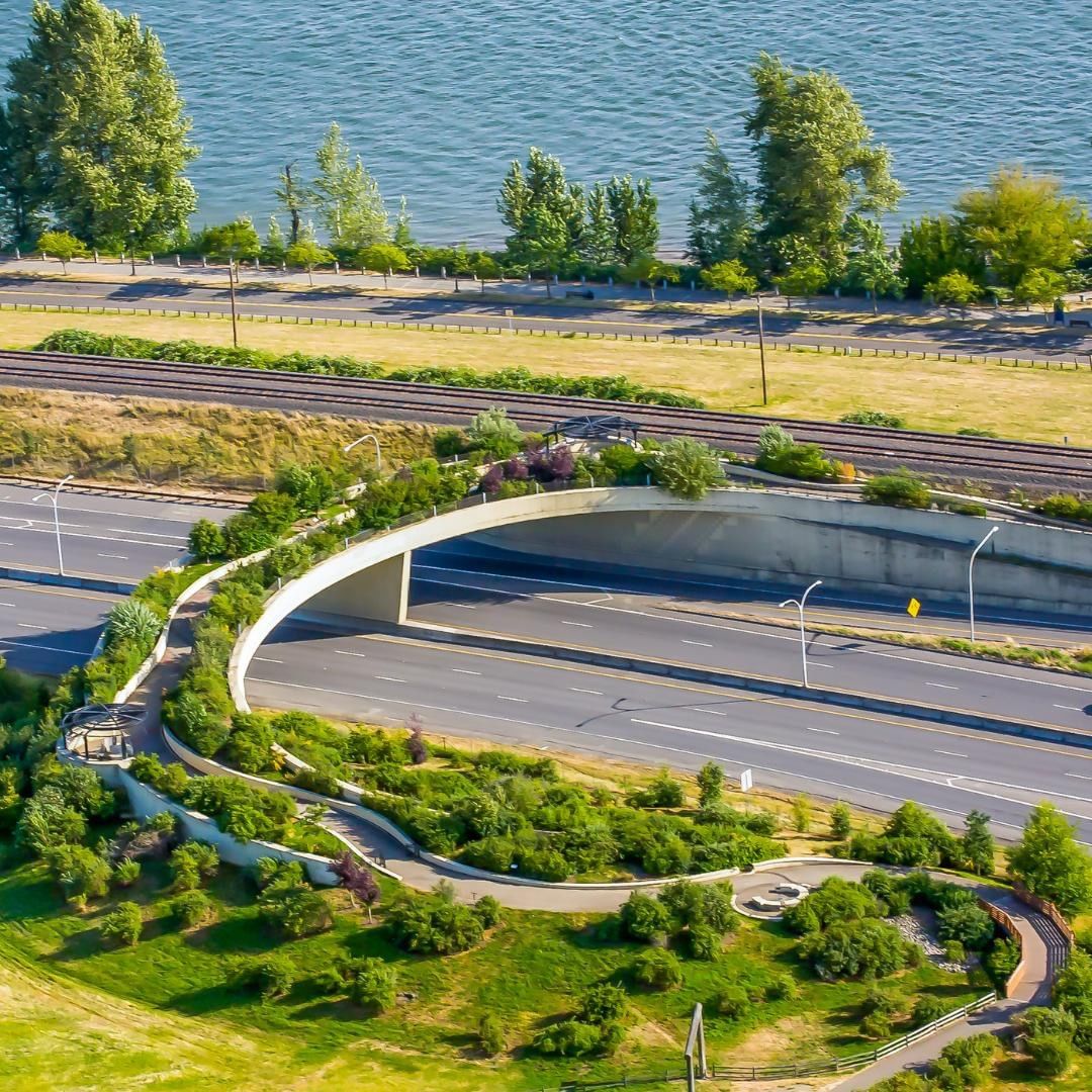 Aerial Photo of the Vancouver Land Bridge in Bloom. Photo by Instagram user @vancouverus