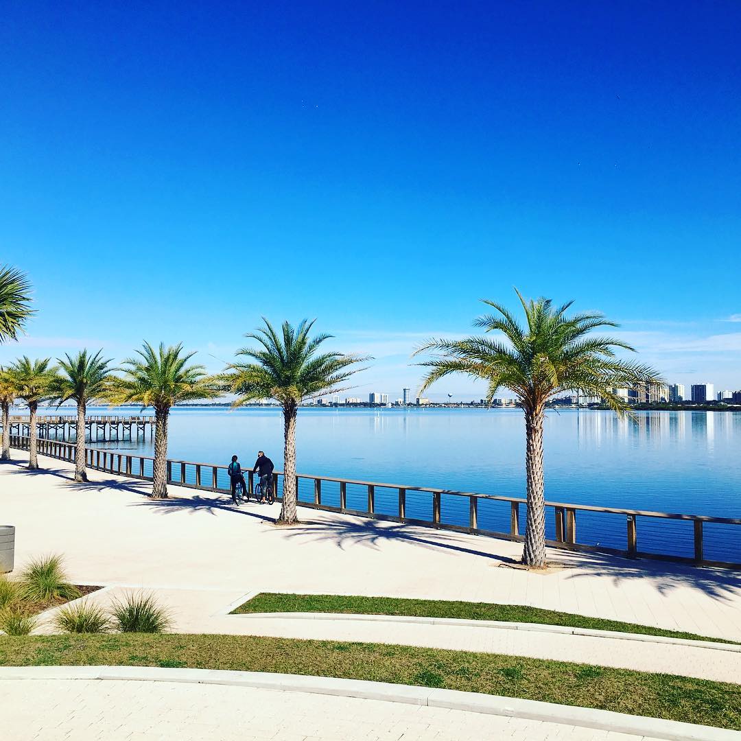 photo overlooking the water with palm trees in Port Orange FL photo by instagram user @arturabel