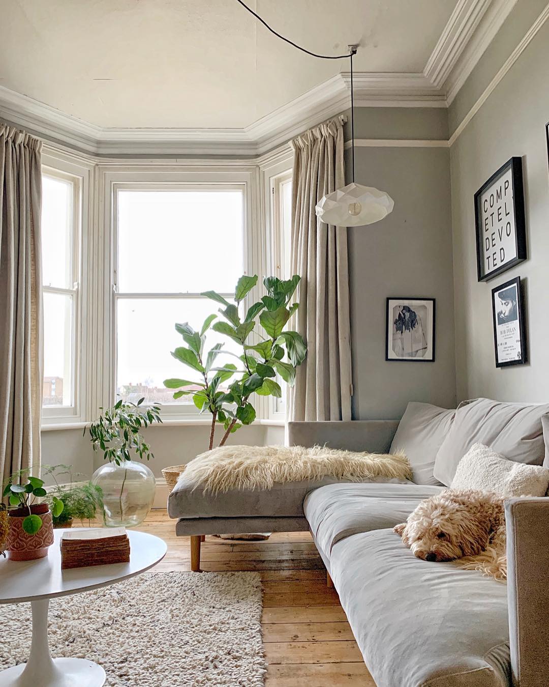 Living Room with Couch, Plants, and Photos. Photo by Instagram user @deecampling.