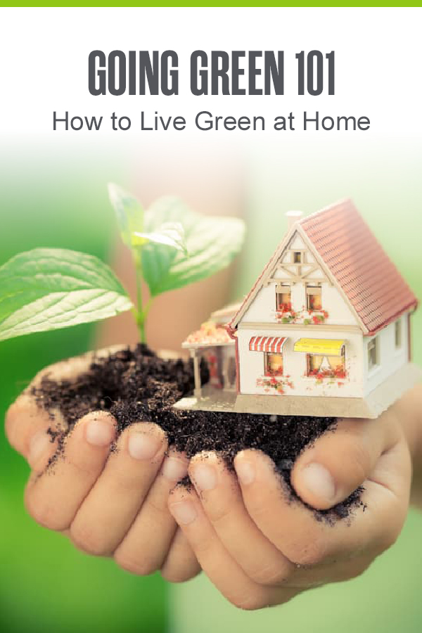 Pinterest graphic: Going Green 101: How to Live Green at Home