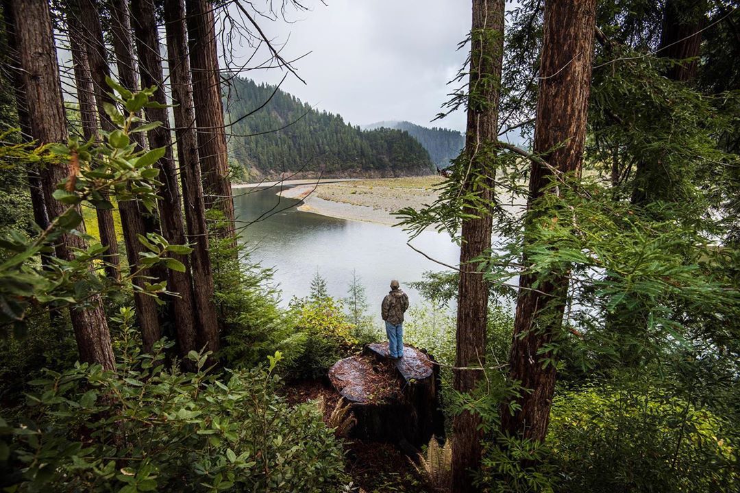 Man standing on tree stump in woods overlooking lake. Photo by Instagram user @nature_org