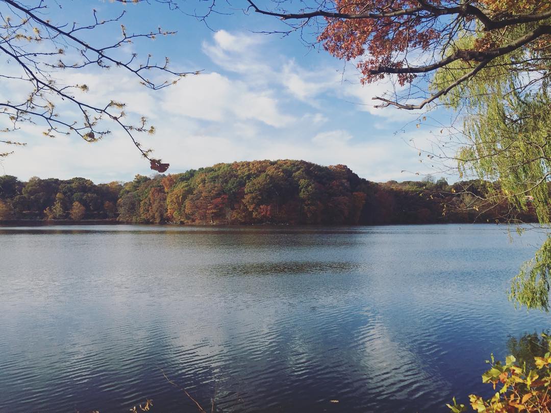 Looking across a lake at Weequahic Park with a thick line of trees on the opposite side. Photo by Instagram user @marg626