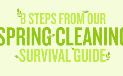 8 Tips & Tricks to Help You Survive Spring Cleaning (Infographic)