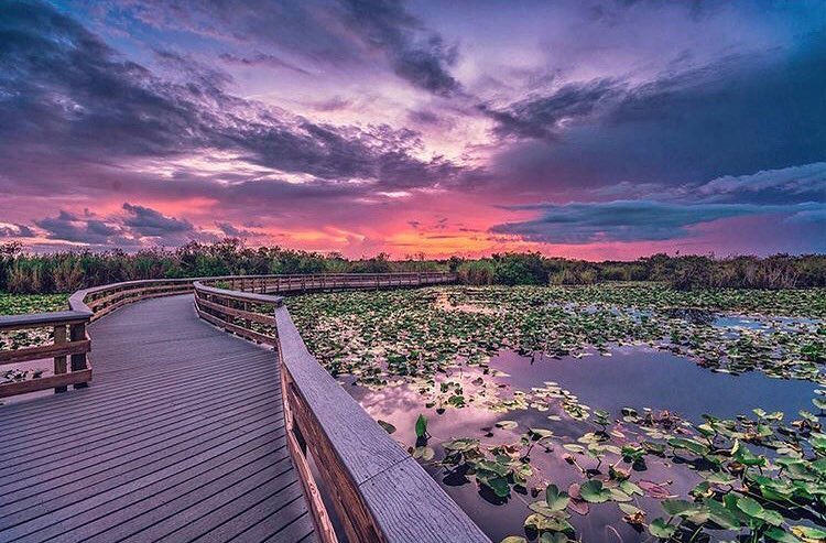 Sunset over a trail and water in the Everglades in Miami, FL. Photo by Instagram user @evergladesnps