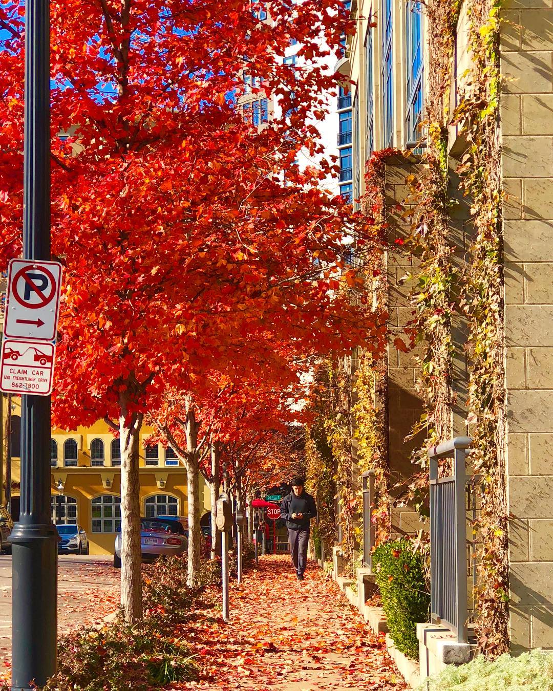 Sidewalk in Midtown Nashville with red and orange leaves during fall. Photo from Instagram user @ms.alberto_styling.