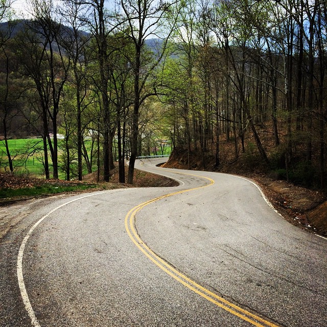 Winding road between bare trees. Photo by Instagram user @nikon2000