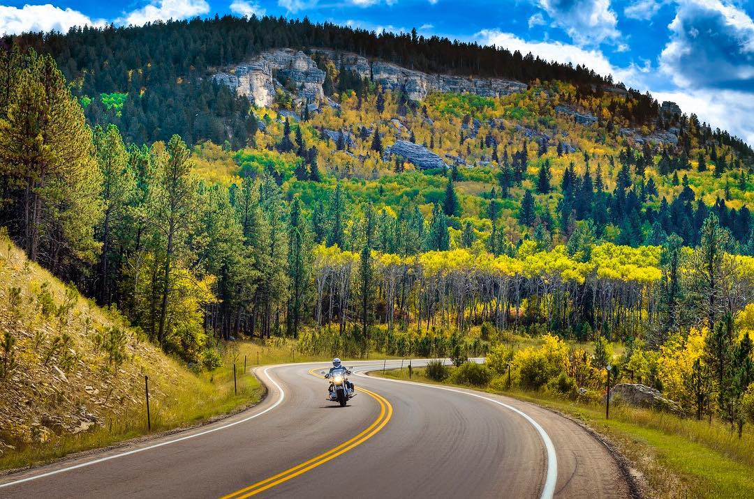 Motorcycle riding on street with trees in the background. Photo by Instagram user @sturgisrally