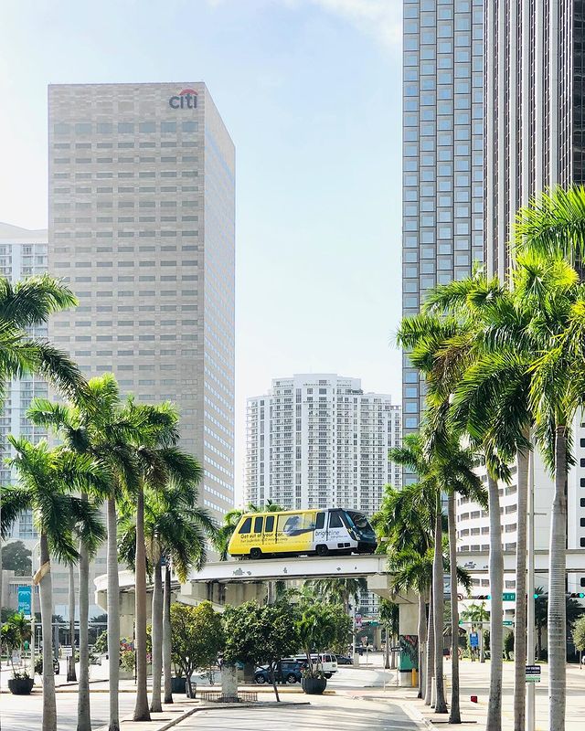 Miami's metromover between two buildings and framed by palm trees. Photo by Instagram user @carla.iftimie