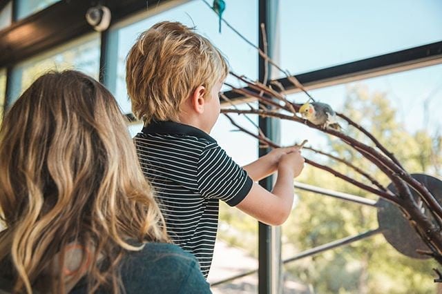 Mom and son feeding a bird at the Cheyenne Mountain Zoo. Photo by Instagram user @cheyennemountainzoo