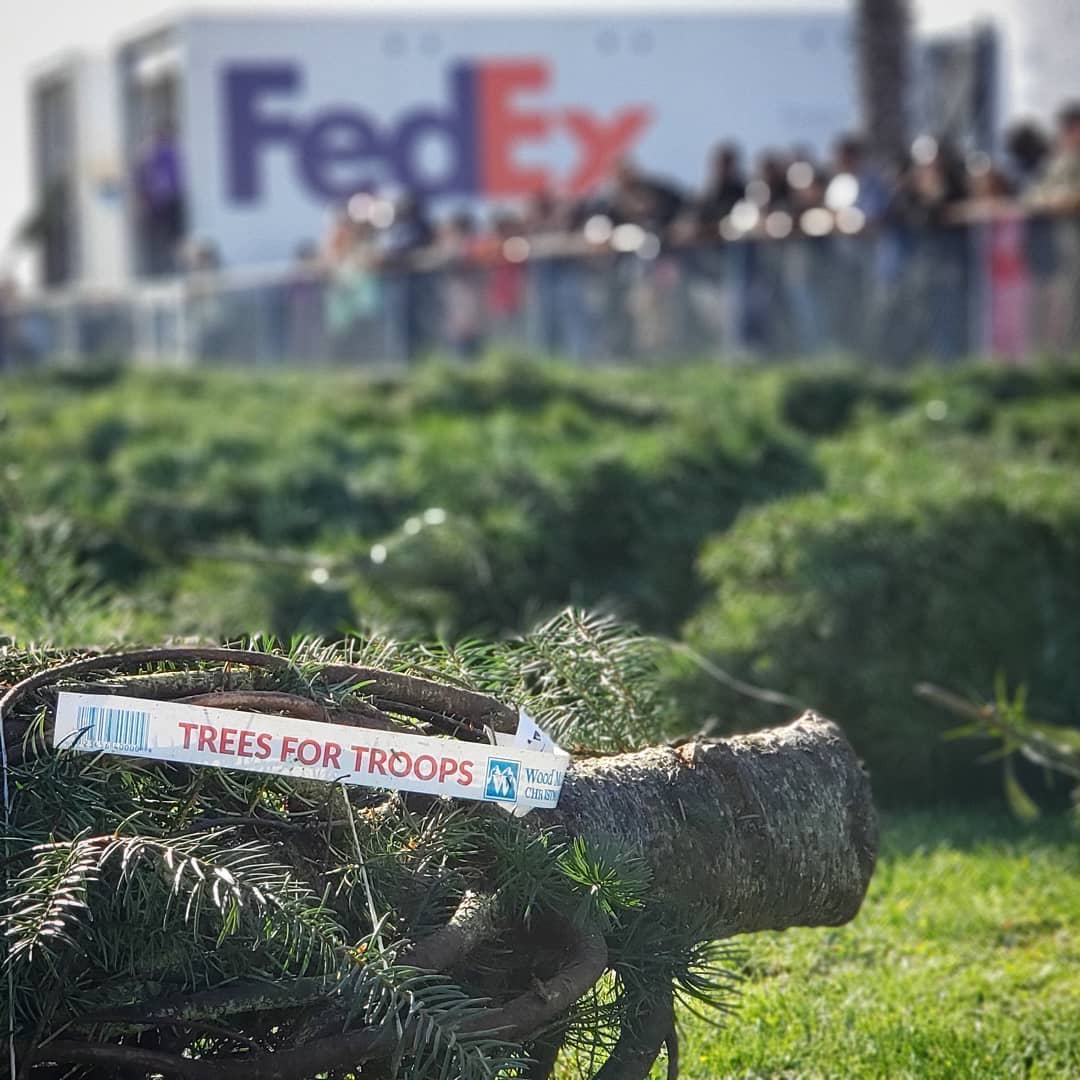 Christmas tree from Trees for Troops. Photo by Instagram user @the_ta_landi16
