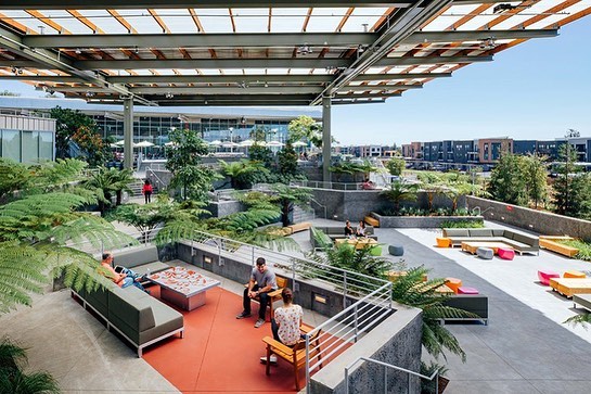 Outdoor patio with plants at the Facebook Headquarters. Photo by Instagram user @arquitecturaviva_