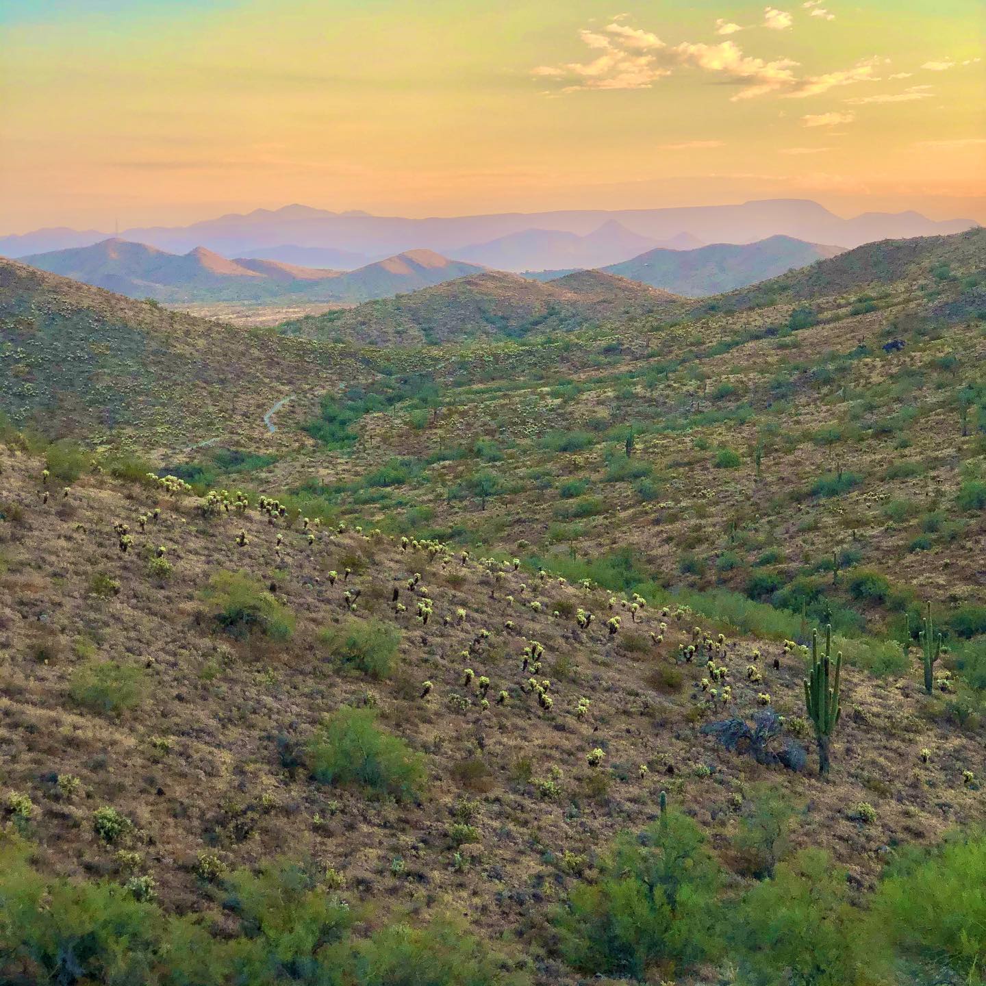 Phoenix valley and desert at sunrise. Photo by Instagram user @thrunatureslens