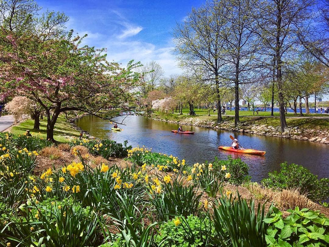 People kayaking in the Charles River in Boston. Photo by Instagram user @carmenoxide