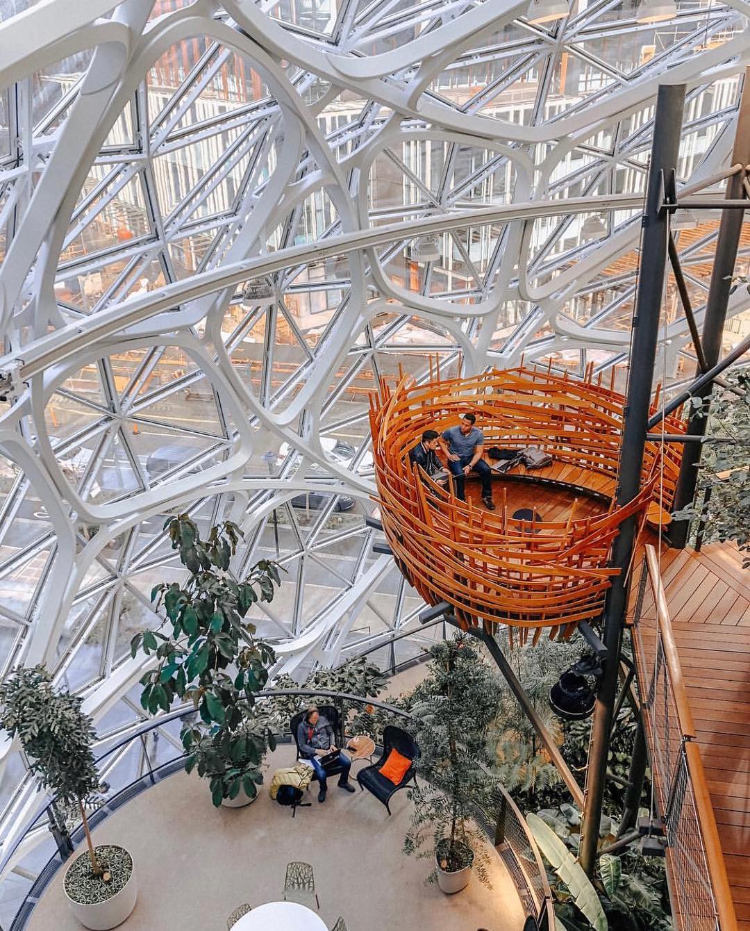 Tree house inside the Amazon Spheres. Photo by Instagram user @curiocityseattle 