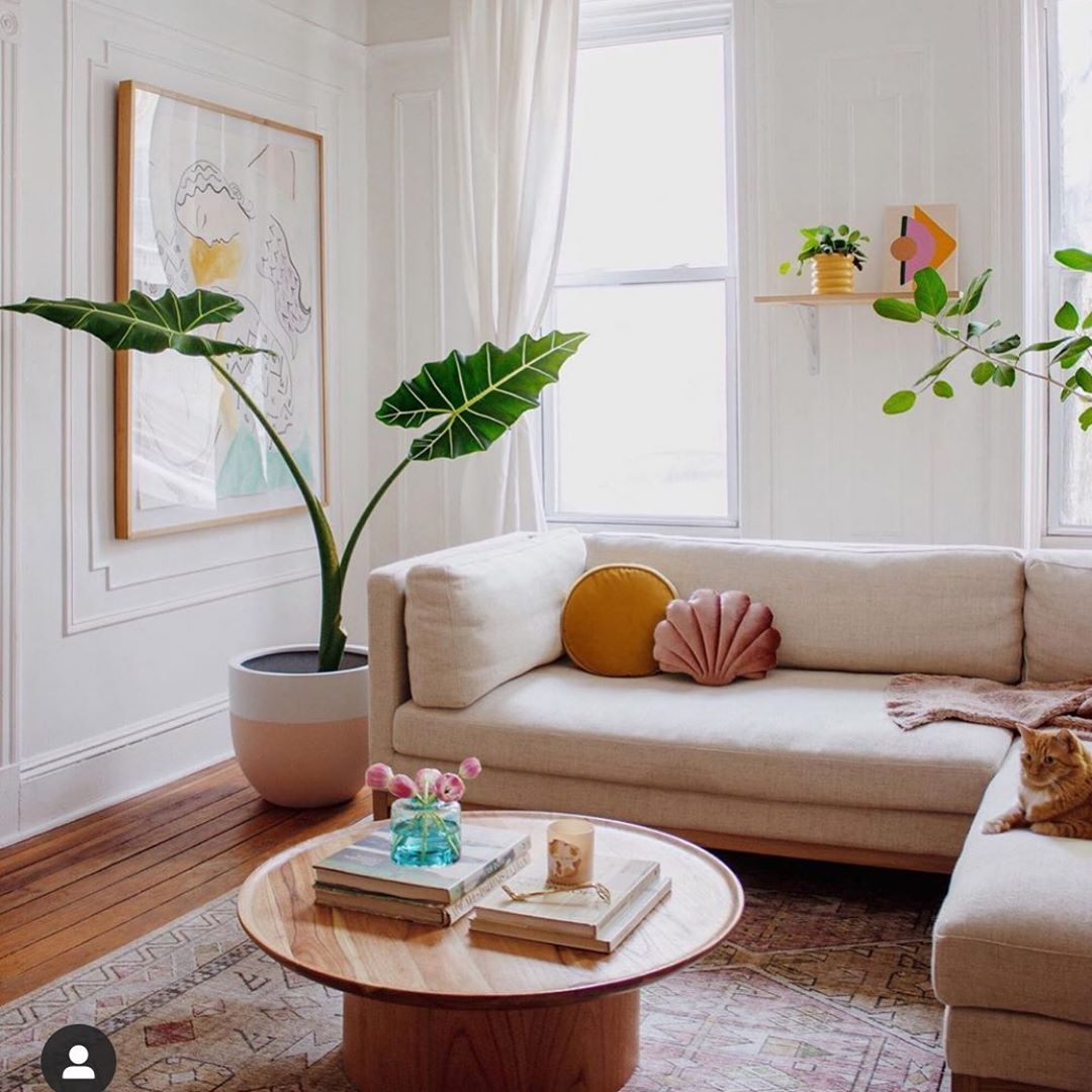 White living room with tan couch and color pillows with a floor plant. Photo by Instagram user @balalaladecor