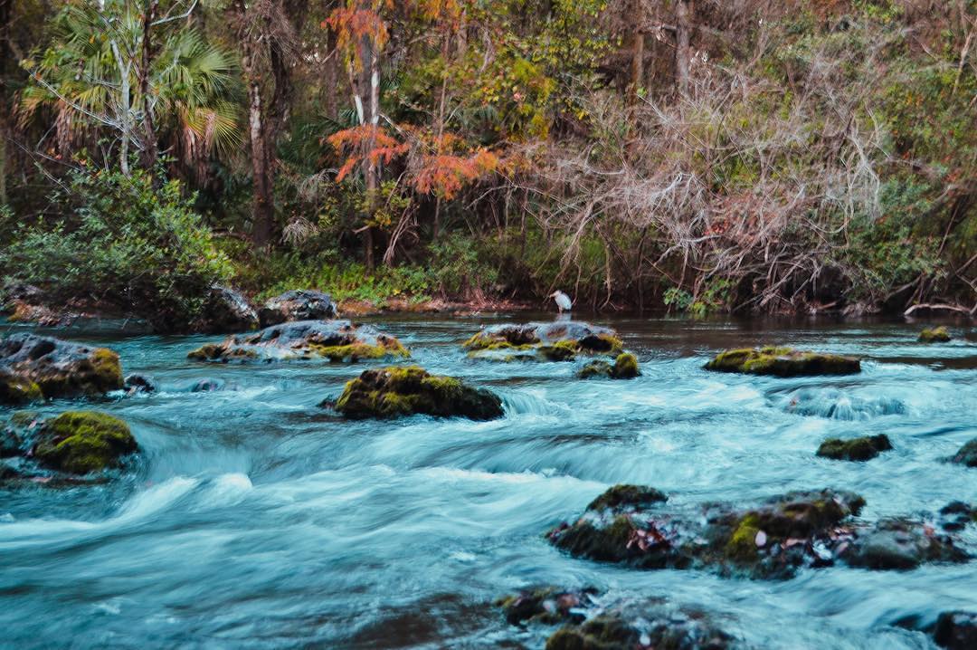 Rushing water over rocks at Hillsborough River State Park in Tampa. Photo by Instagram user @briannaelise_photography