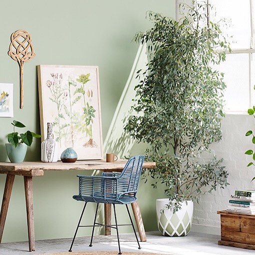 Home office with green walls and plant decor. Photo by Instagram user @designprecinctbendigo