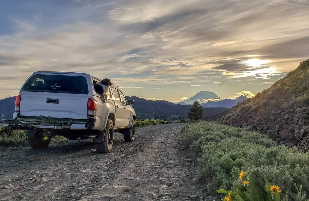 Truck with dog driving down mountain road. Photo by Instagram user @giancarlogambini86