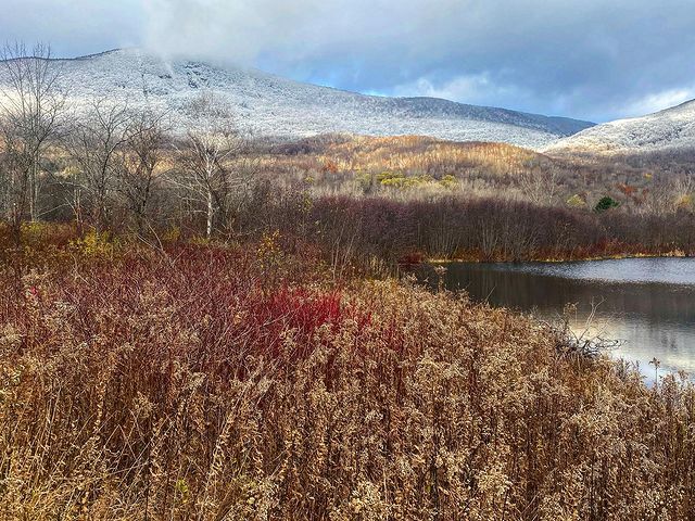 Mountain and field view in fall with golds, reds, and white across the landscape. Photo by Instagram user @backcountryguy