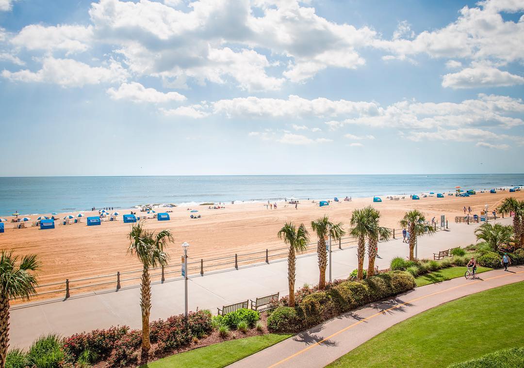 Aerial view of palm trees next to the beach with blue skies in Virginia Beach, VA. Photo by Instagram user @visitvabeach