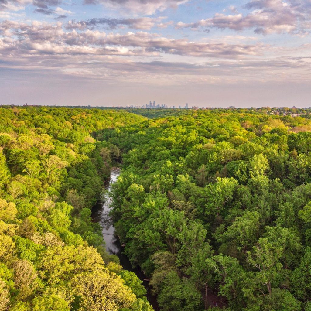 Trees with distant Philadelphia skyline at Wissahickon Valley Park. Photo via Instagram user @fowissahickon