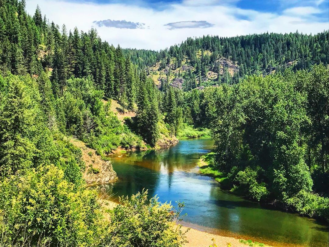 Tall green trees next to a green and blue river at Coeur d'Alene National Forest, ID. Photo by Instagram user @campbellk_wildlifebio