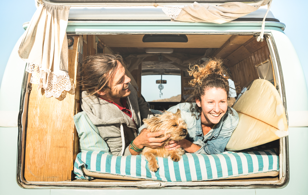 Couple sitting in the back of a van with a dog.