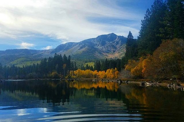 Lake with trees and mountains in the background at Lake Tahoe, CA. Photo by Instagram user @jessieb033