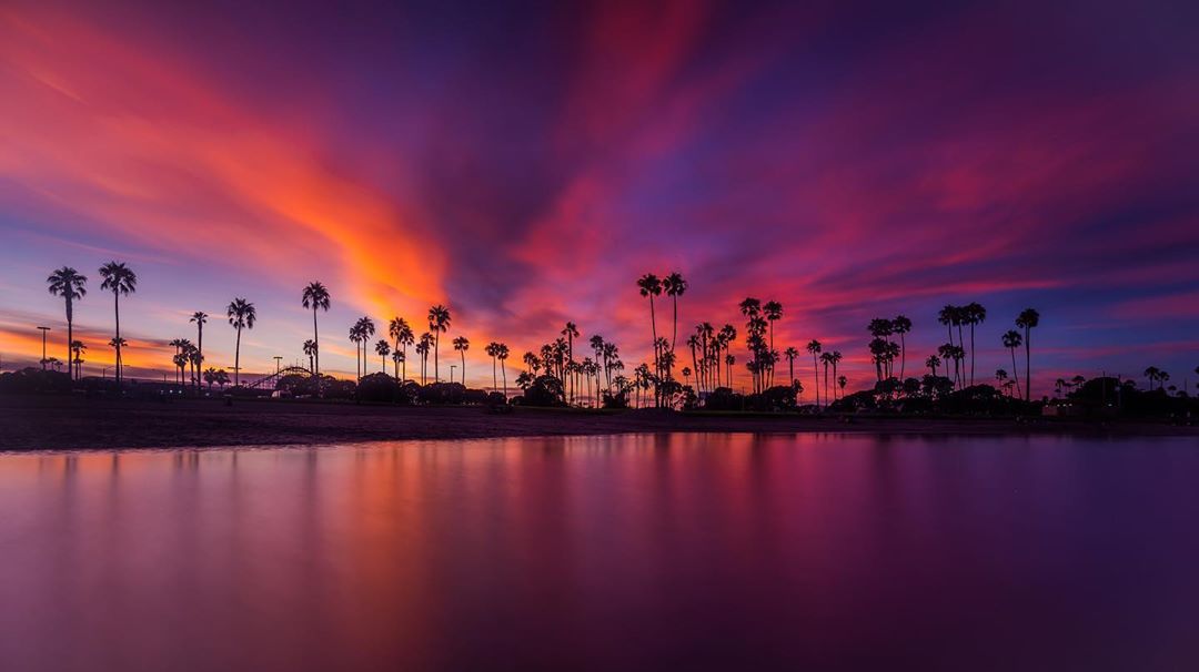 Beach and palm trees with a purple and orange sky at Mission Beach. Photo by Instagram user @alexbaltovphoto