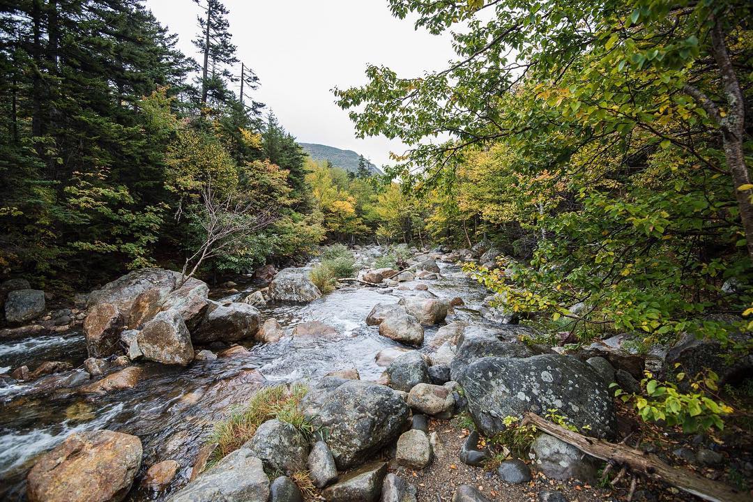 Rushing stream down rocks at the White Mountain National Forest, NH. Photo by Instagram user @pachanza